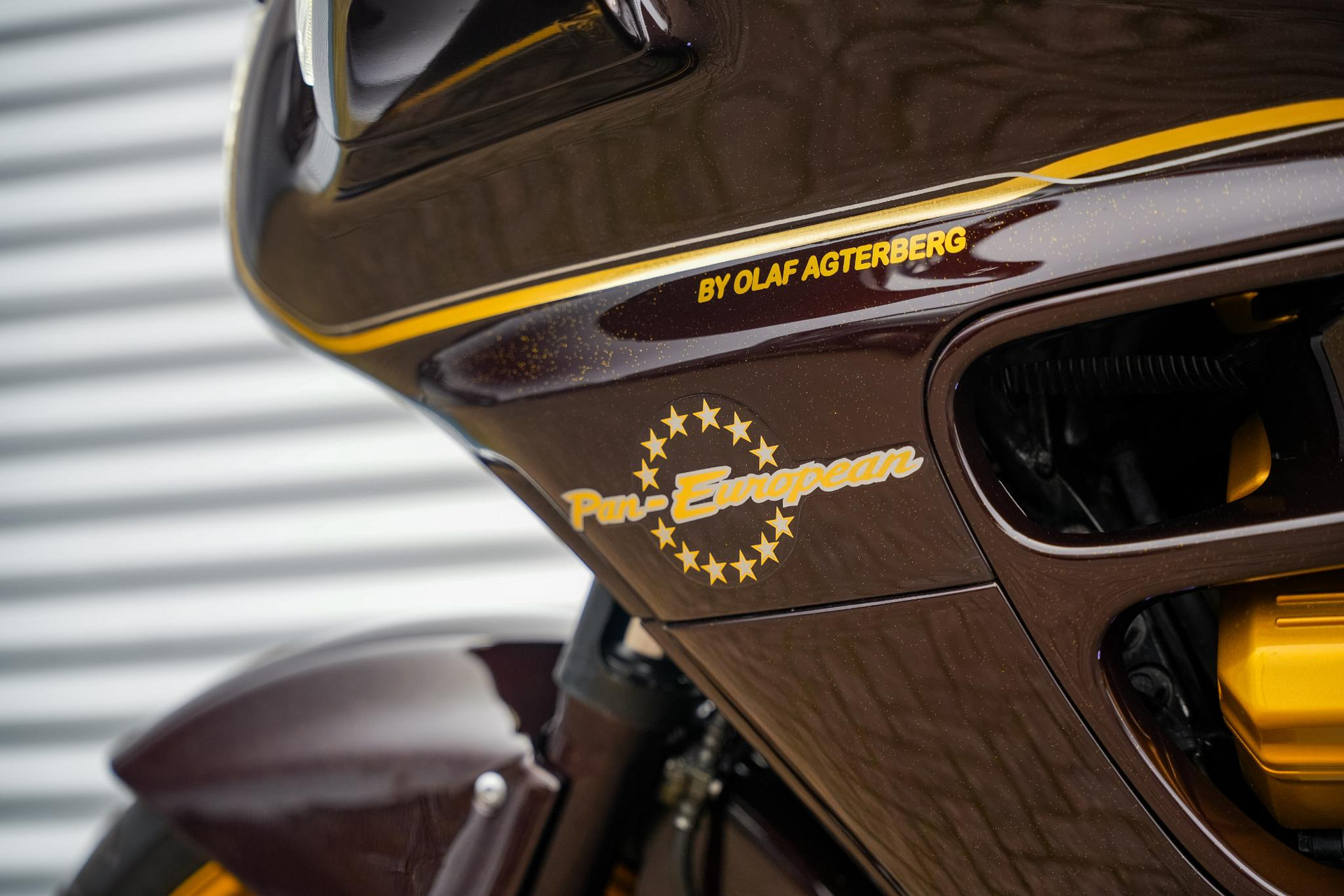 Honda  ST 1100 Pan European 1996 Bruin 7