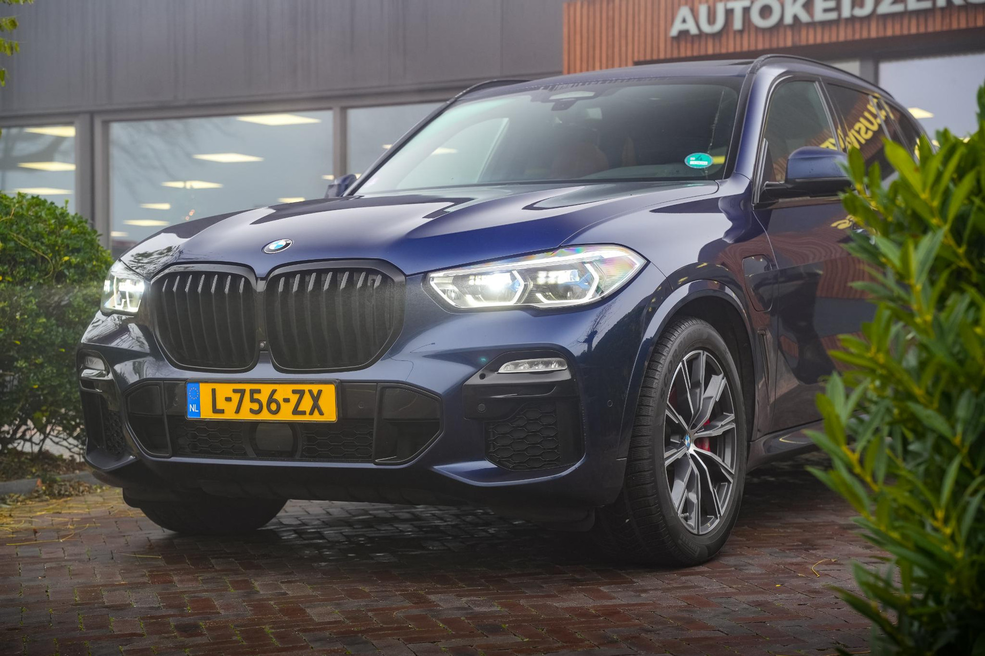 BMW X5 xDrive45e High Executive 2021 TANSANITBLAU II METALLIC (C3Z) 13