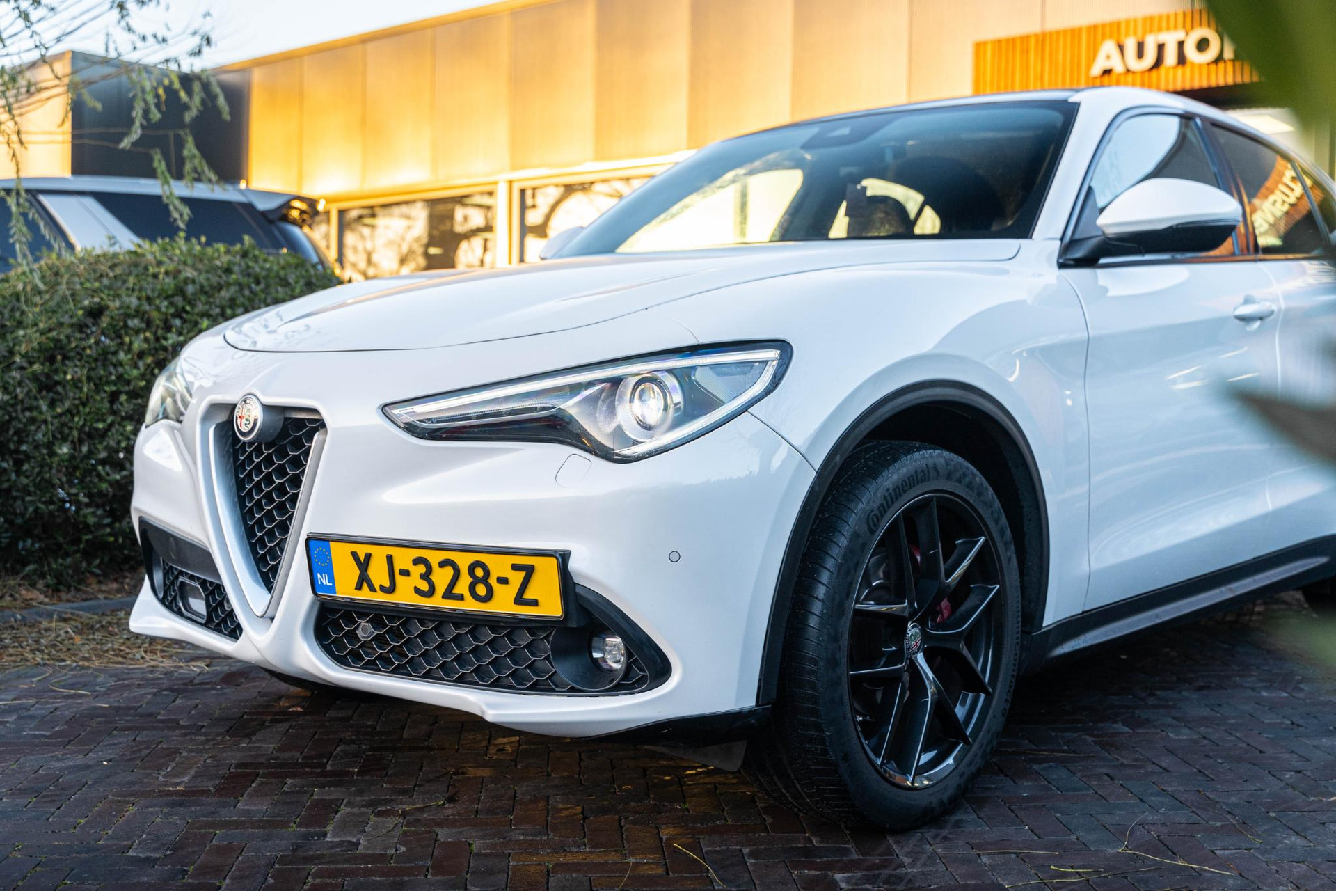 Alfa Romeo Stelvio 2.2d Super 2018  12