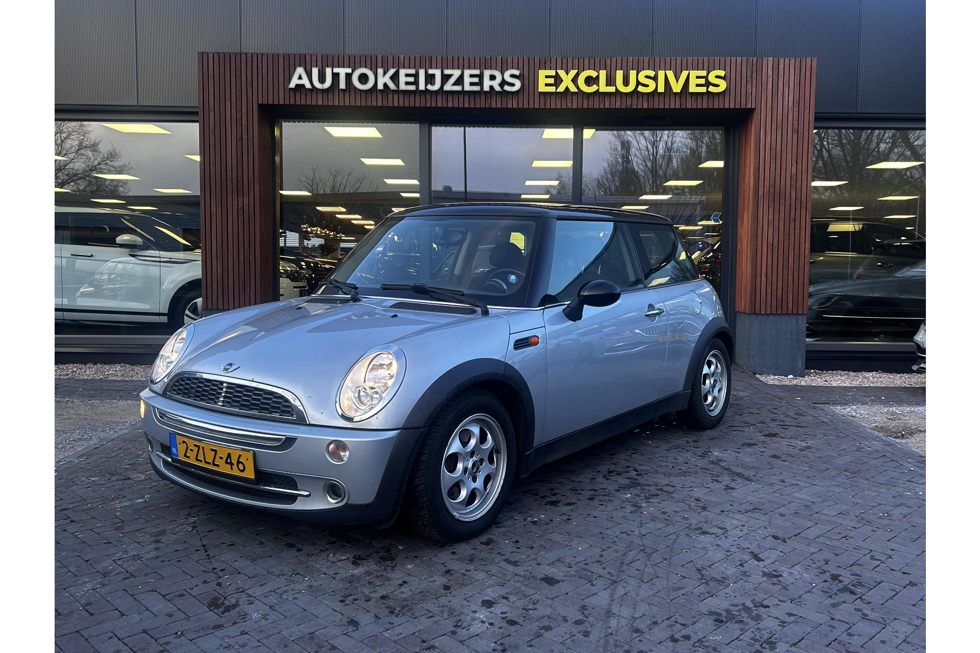 MINI Mini 1.6 Cooper 2006 Pure-silver (900) 10