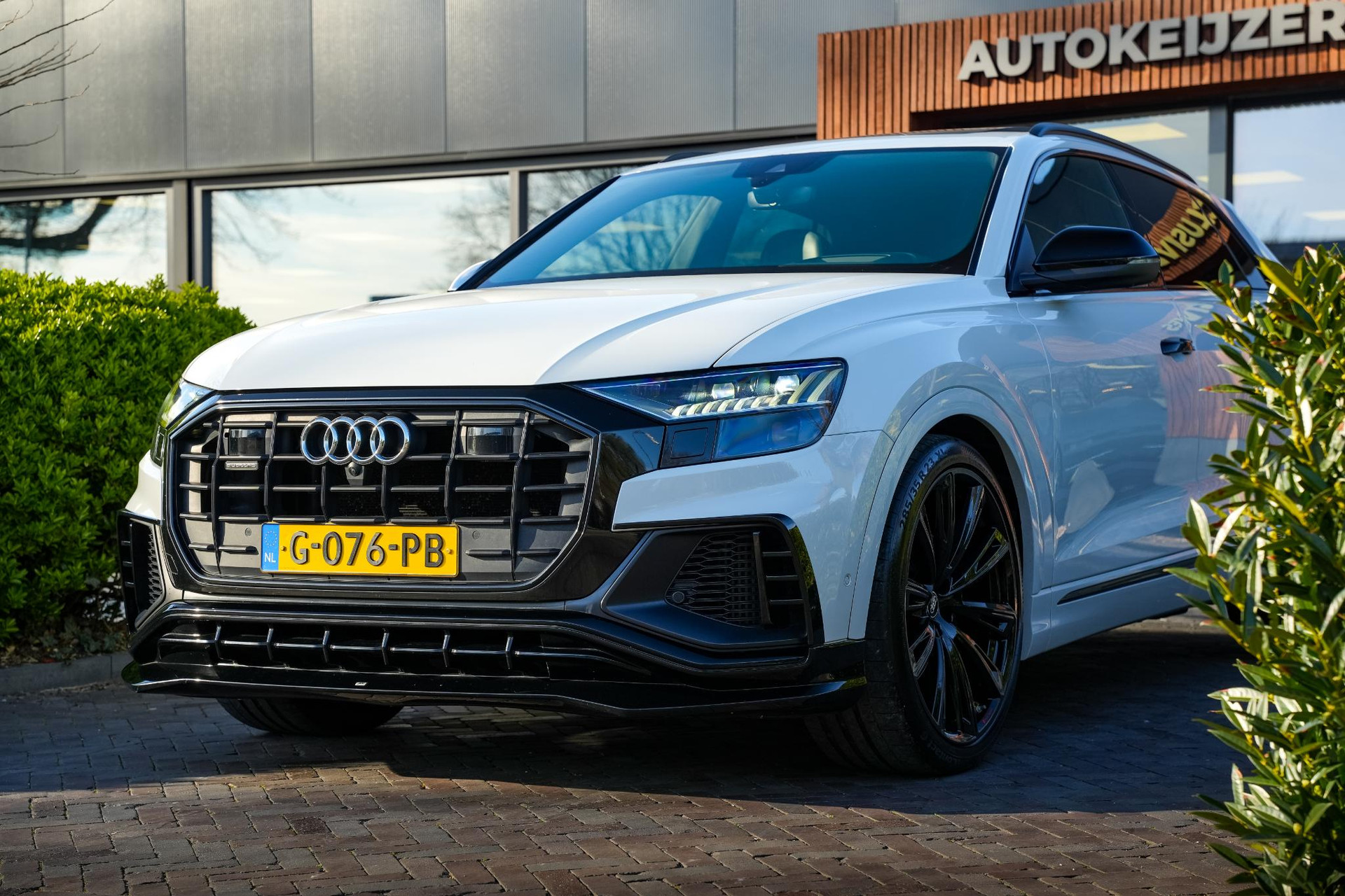 Audi Q8 55 TFSI quattro Pro Line Plus 2019 Gletsjerwit metallic 13