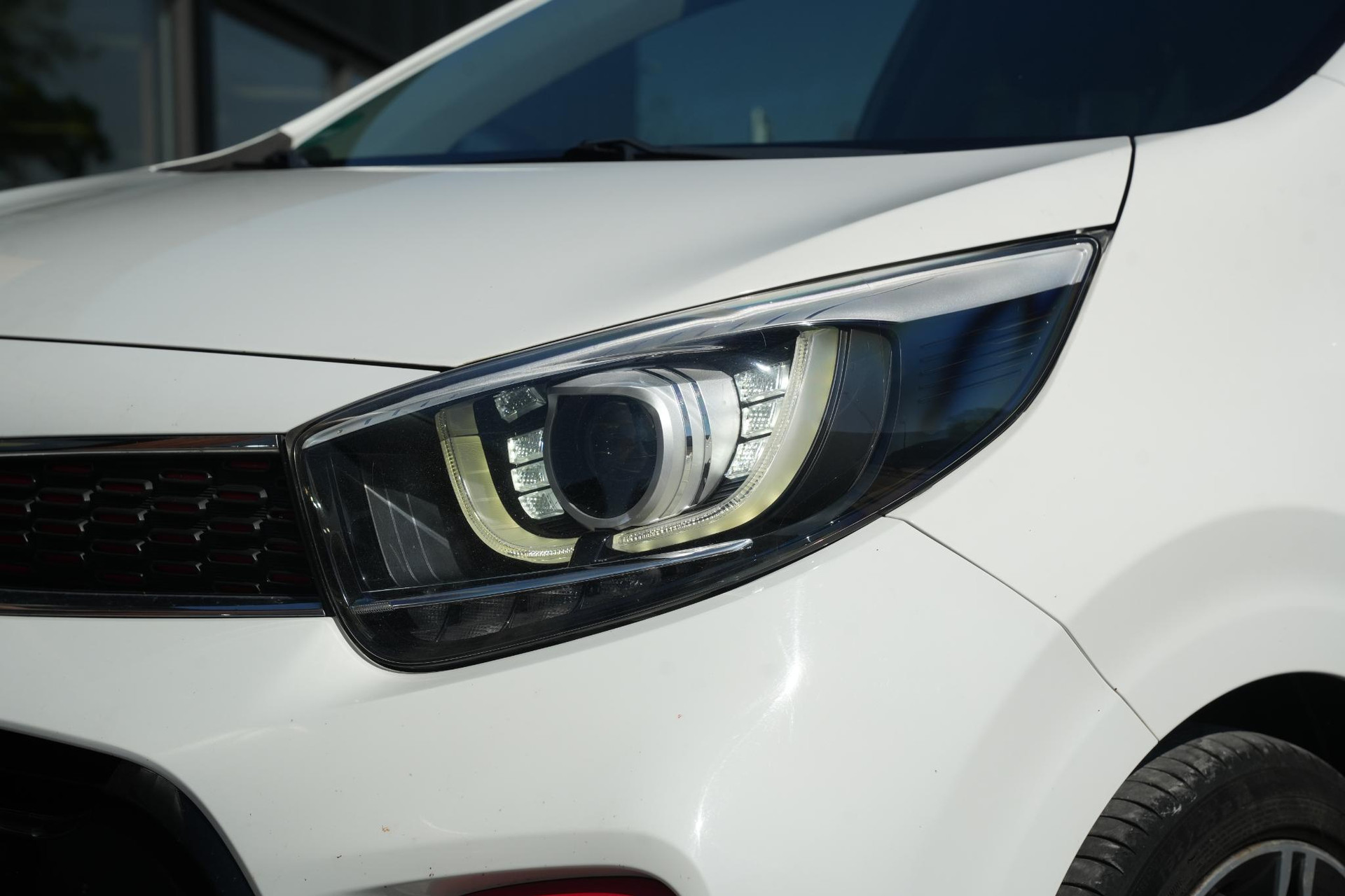 Kia Picanto 1.2 CVVT DynamicPlusLine 2018 Clear White (UD) 8