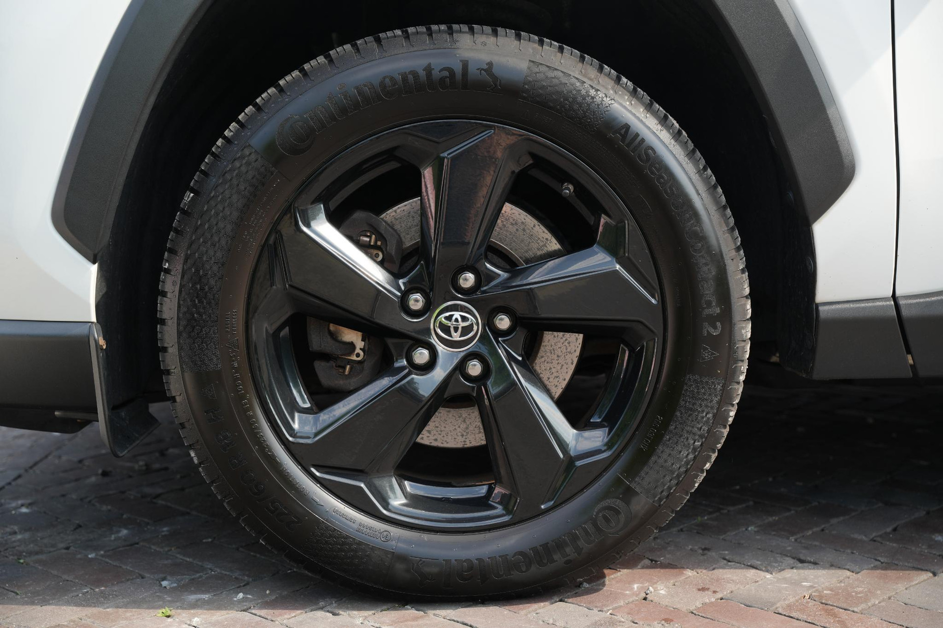 Toyota RAV4 2.5 Hybrid AWD Business Intro 2019 (040) 18