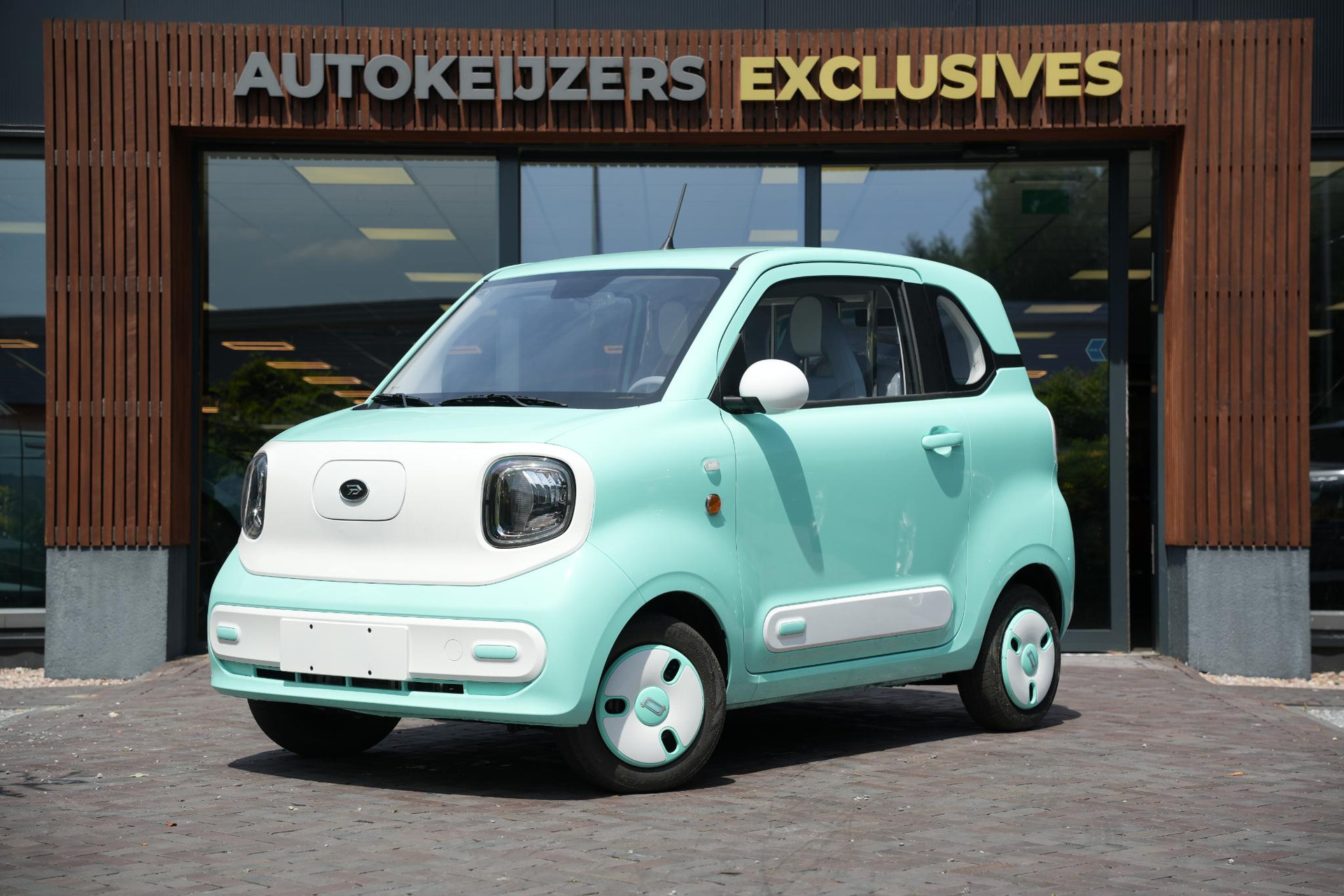 Bontu Mango  2025  5