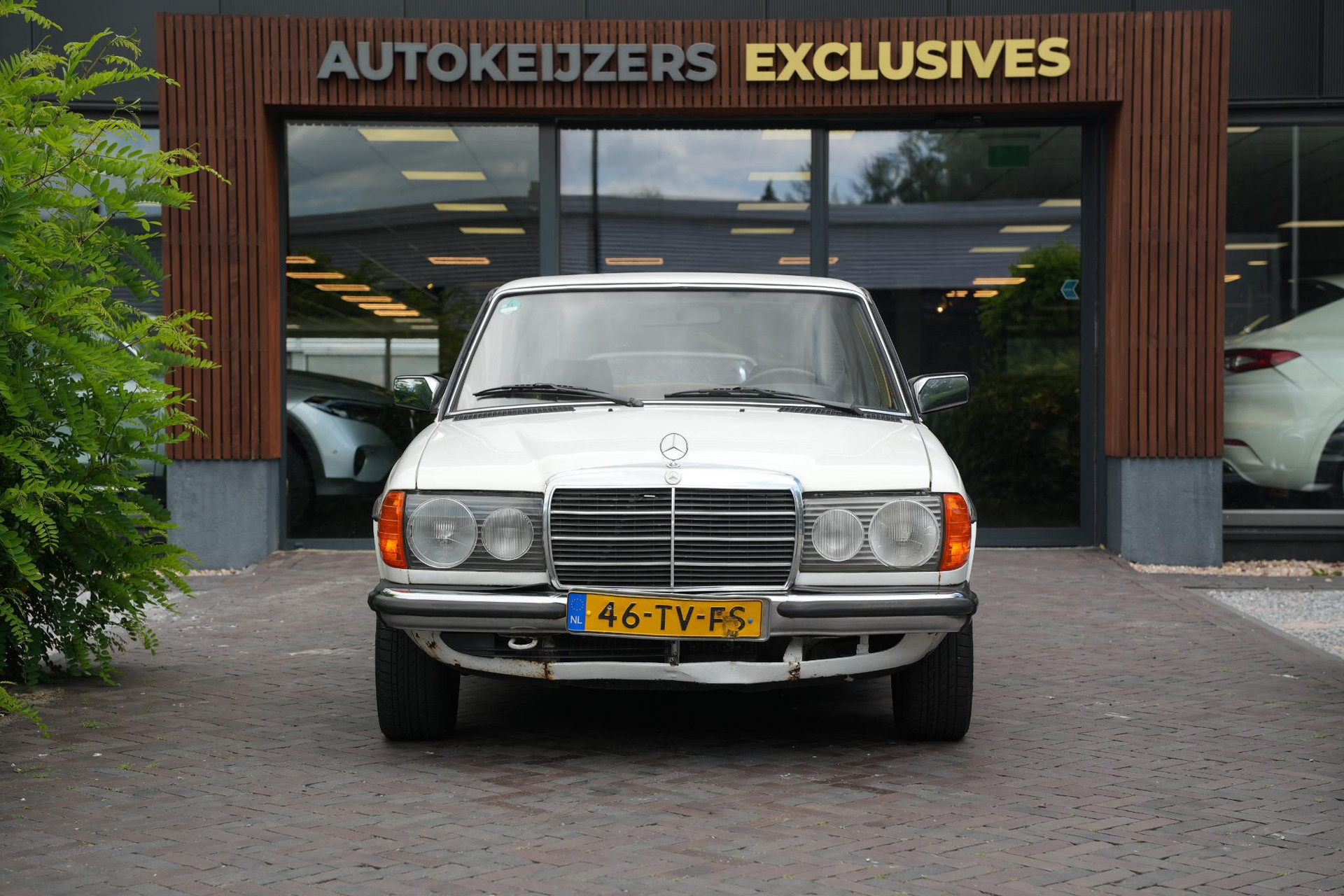 Mercedes-Benz 200-280 (W123) 200 1982  2
