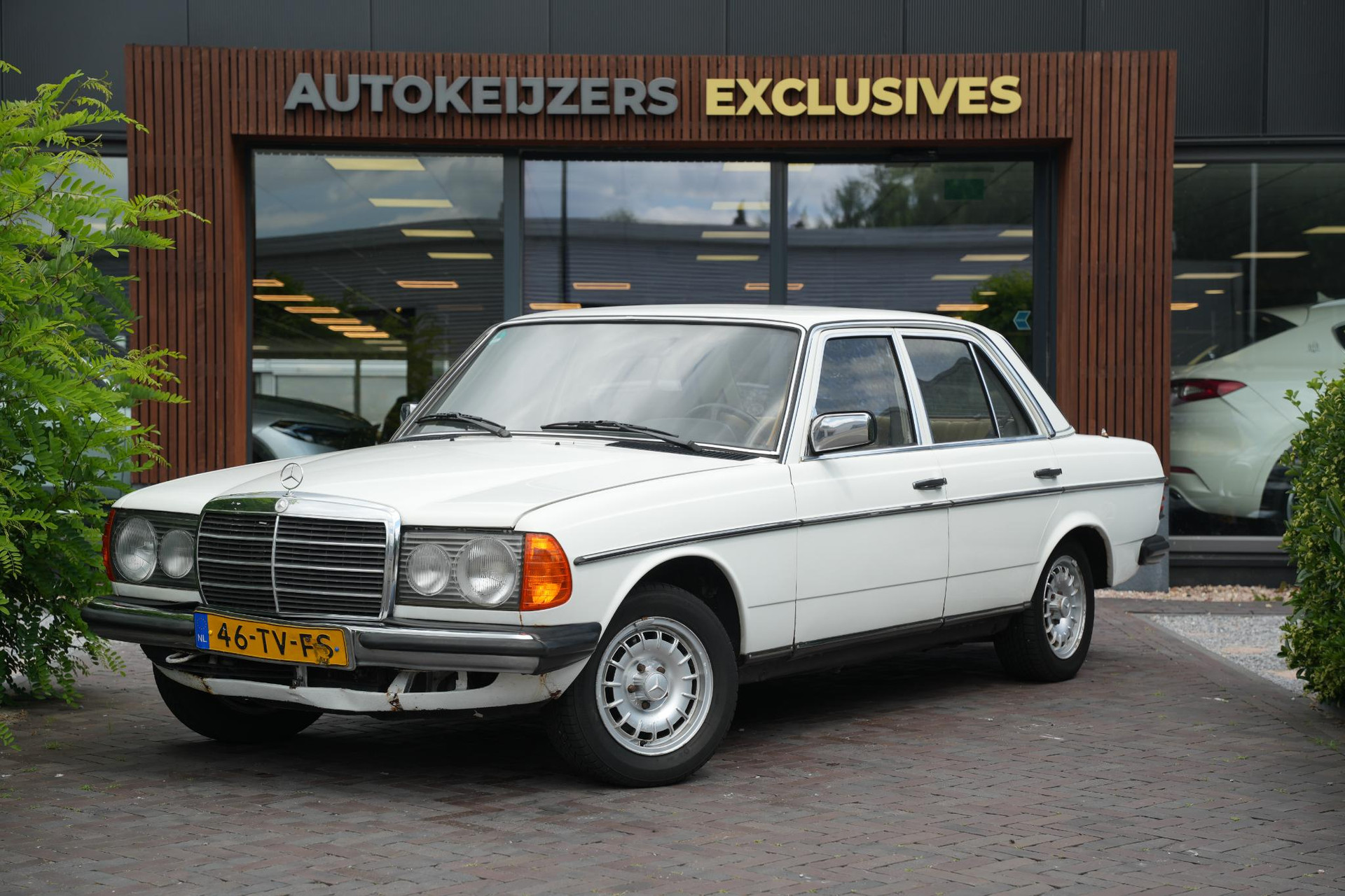 Mercedes-Benz 200-280 (W123) 200 1982  3