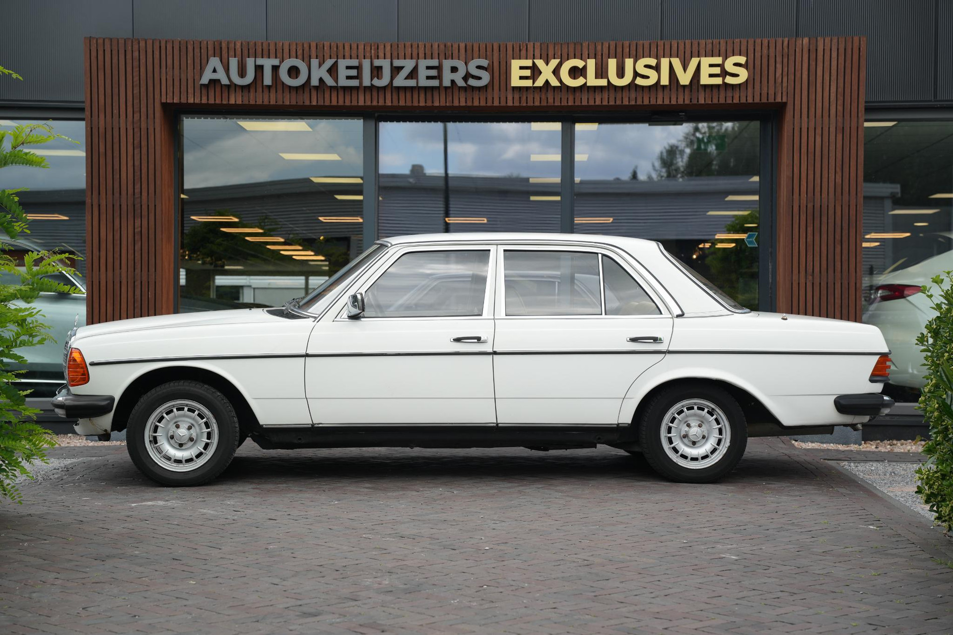 Mercedes-Benz 200-280 (W123) 200 1982  4