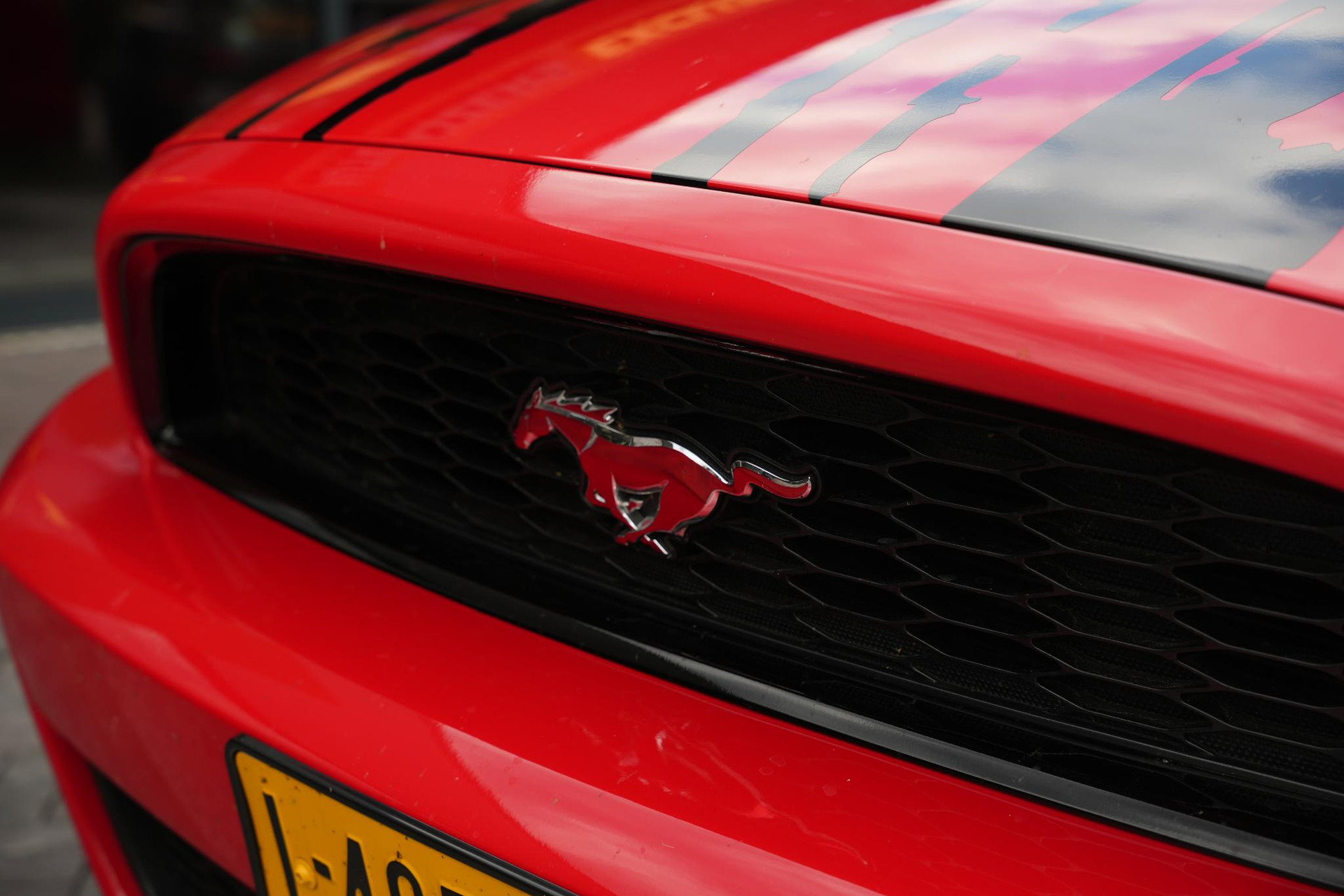 Ford USA Mustang 3.7 V6 2012  22