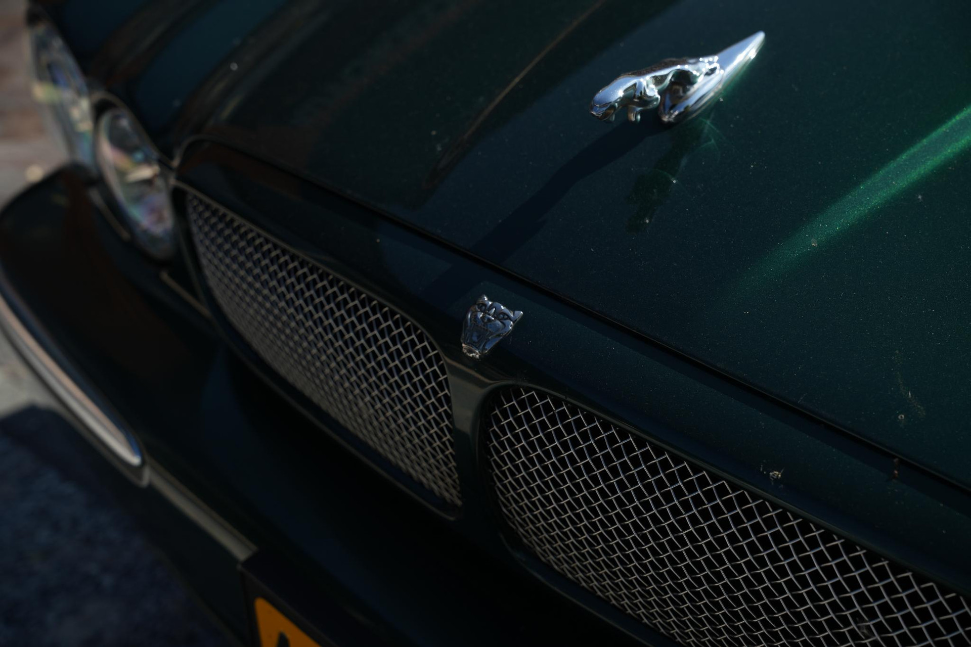 Jaguar XJR 4.2 V8 S/C 2004 Jaguar Racing Green-JBC1957 (_PJAB8) 17