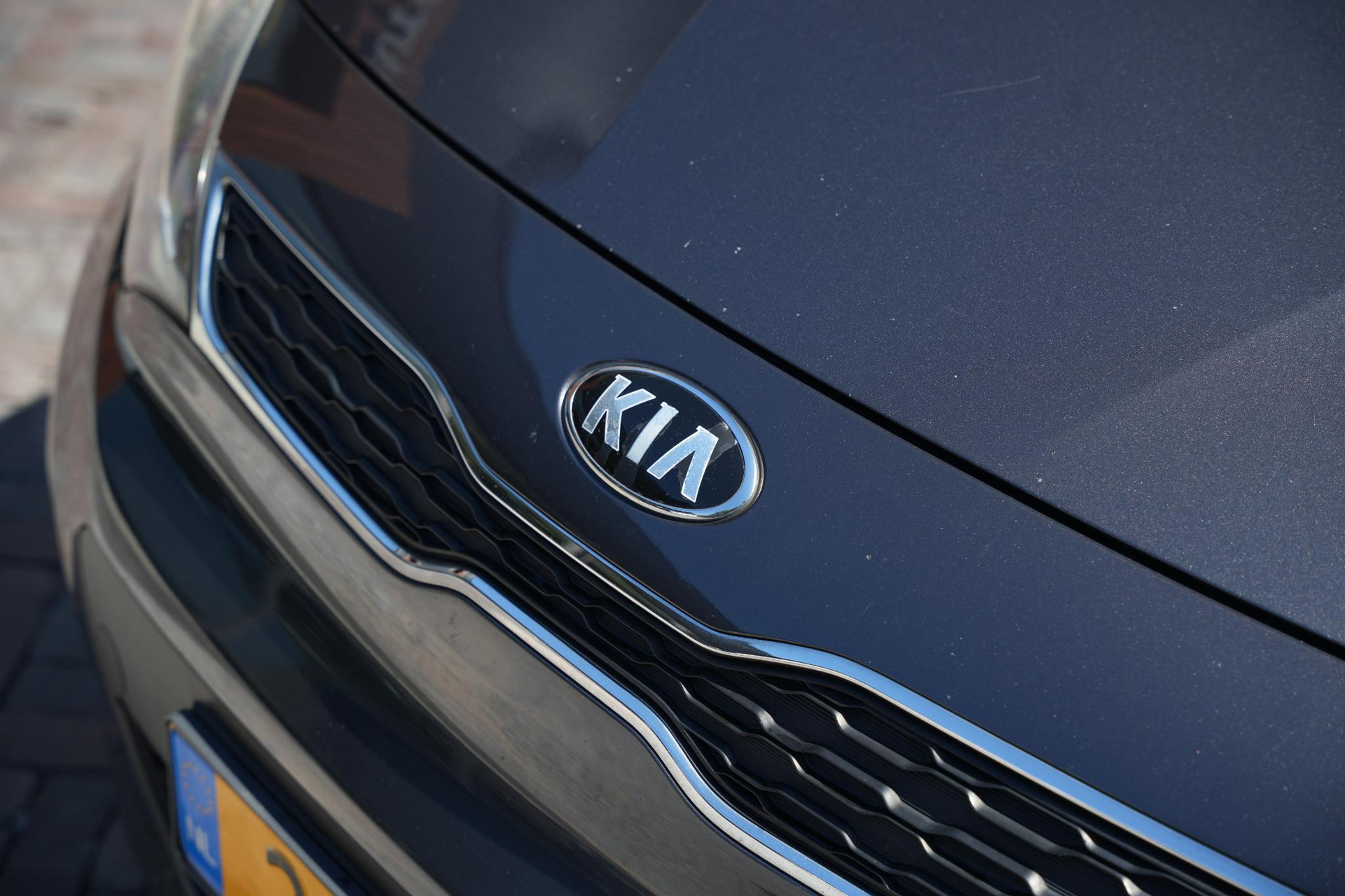 Kia Rio 1.2 CVVT Plus Pack 2014 Platinum Graphite Metalli (ABT) 15