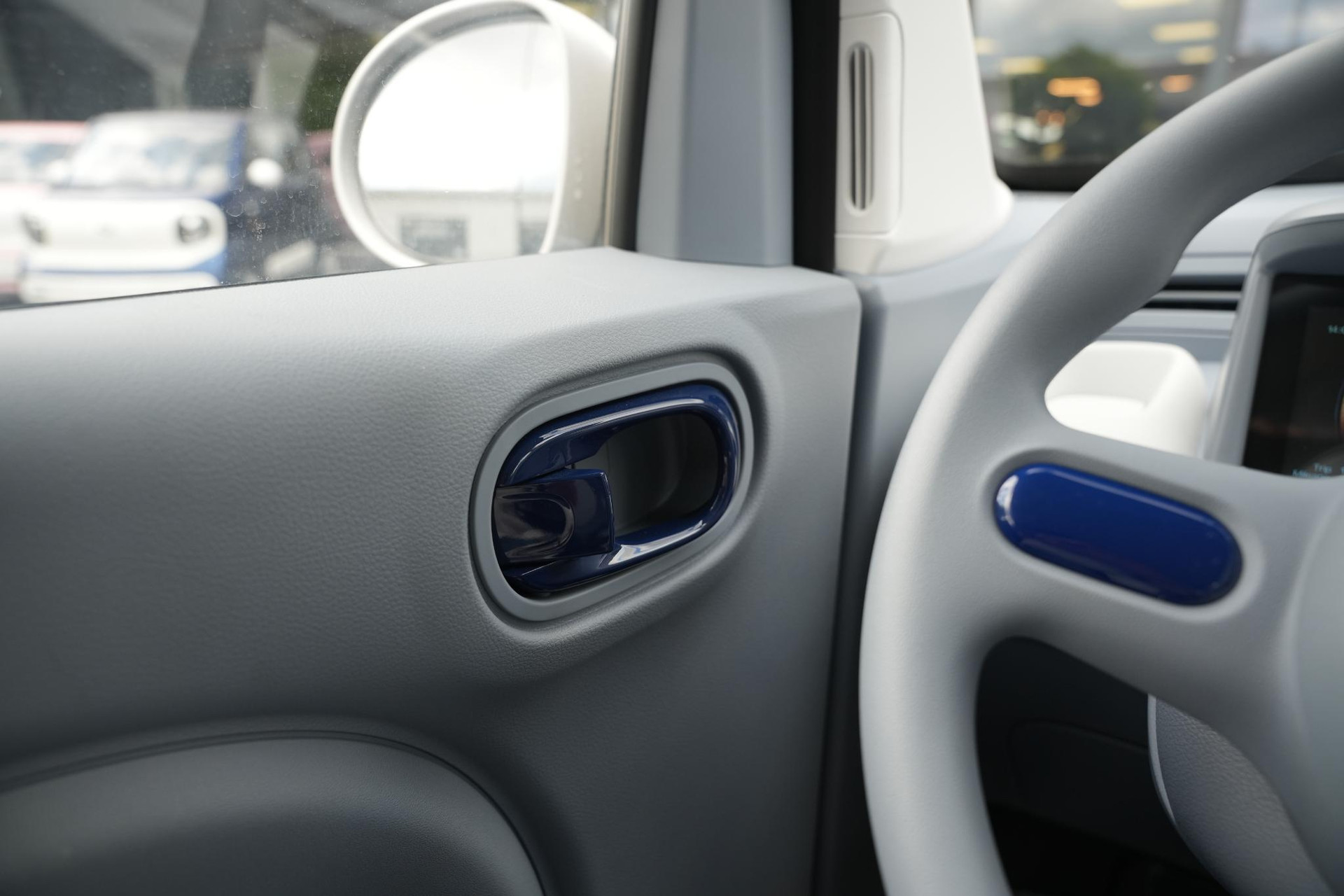 Bontu Mango  2026  41