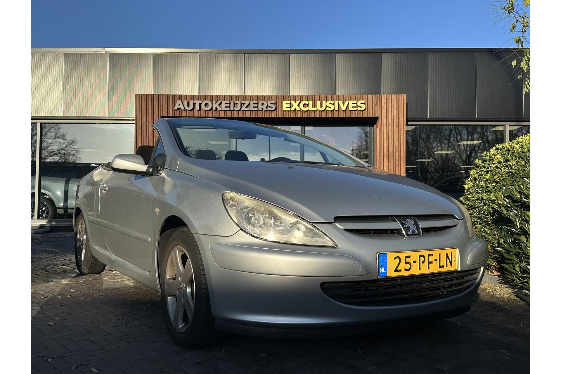 Peugeot 307 CC 2.0-16V 2004 PAINT ALUMINIUM GREY (EZR) 1