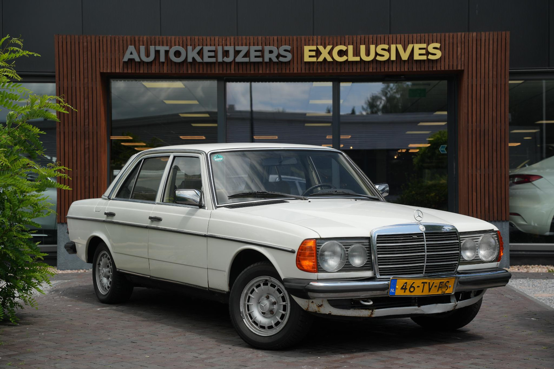 Mercedes-Benz 200-280 (W123) 200 1982  1