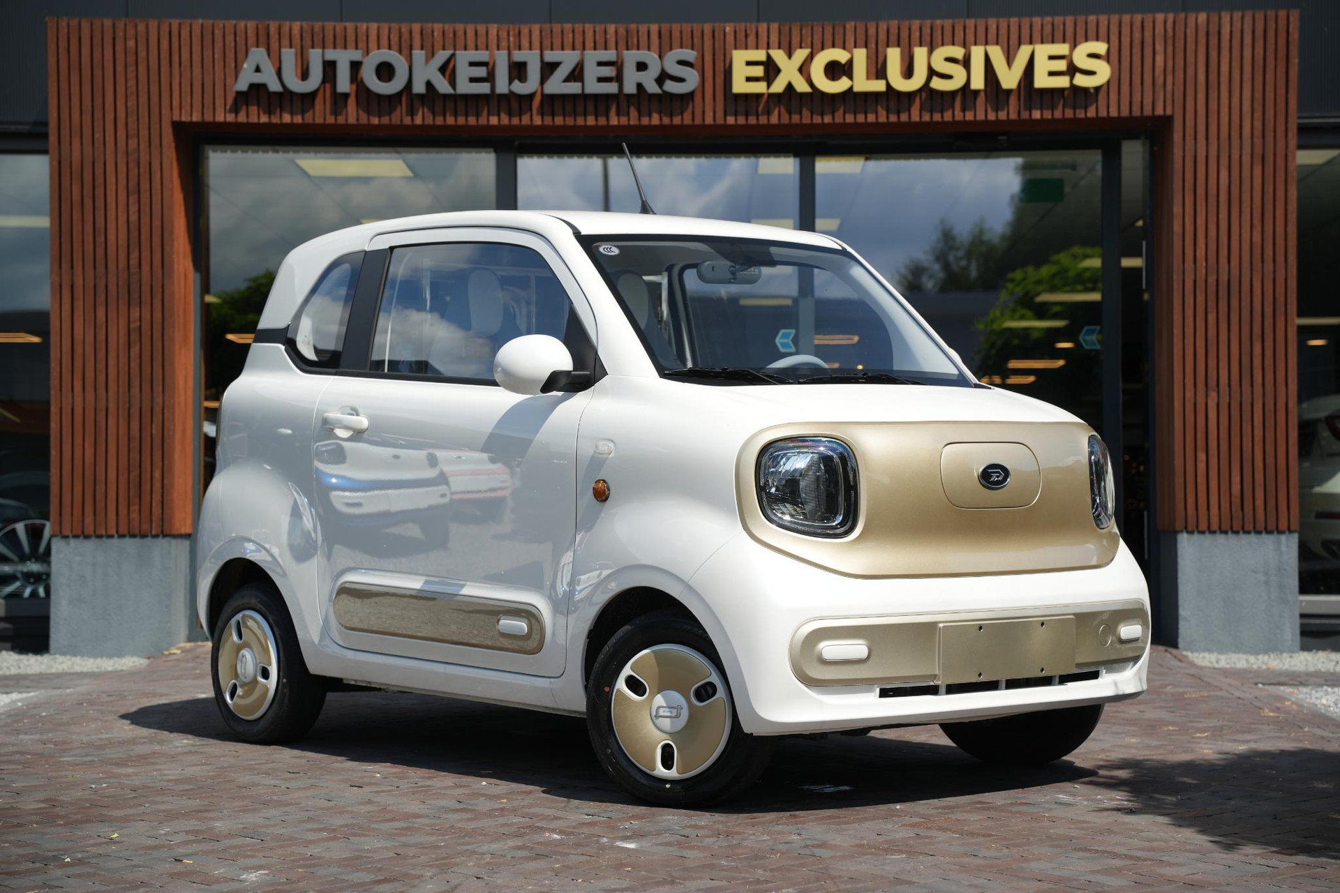 Bontu Mango  2026  1